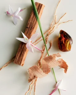 Body and Hand Wash REFILL (No. 04 Bois De Balincourt)