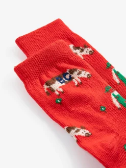 Farm Adventure Socks (Baby)