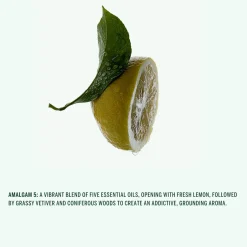 Hand Wash (Amalgam 5)