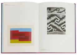Josef Albers in Mexico Hardcover