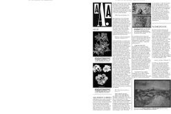 On the Necessity of Gardening: An ABC of Art, Botany and Cultivation (Paperback)