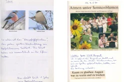 On the Necessity of Gardening: An ABC of Art, Botany and Cultivation (Paperback)