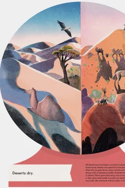 OUR WORLD : FIRST GEOGRAPHY BOOK