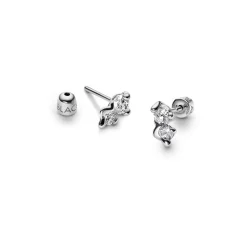 Small Silver Arctic Studs
